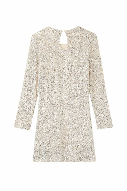 Never Fully Dressed Best Seller - Silver Sequin Mini Soho Dress